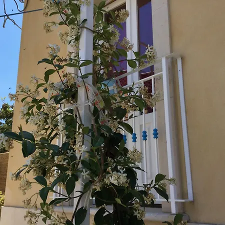 U' Iazzu Avola