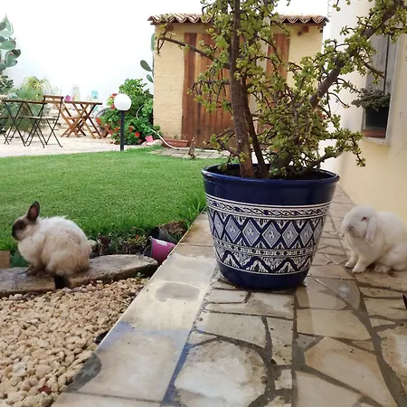 U' Iazzu فندق مبيت وإفطار