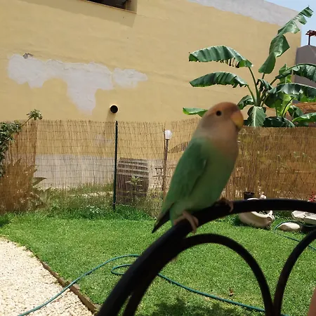 فندق مبيت وإفطار U' Iazzu أفولا