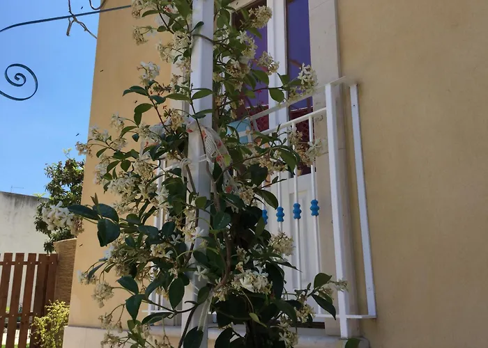 U' Iazzu Avola