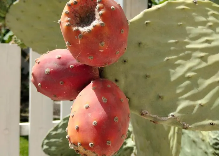 U' Iazzu Oda ve Kahvaltı